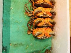 -501號台州海鲜餐厅(海创园店)