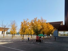 -法门文化景区
