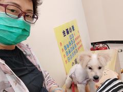 -全心全意连锁动物医院·微创中心·内科急重症·心脏专科(丰管路店)