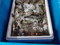 -金巴兰海鲜王