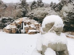 -香山公园