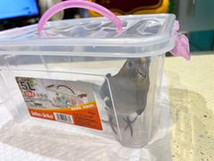 -雨林宠物医院 非犬猫异宠专科