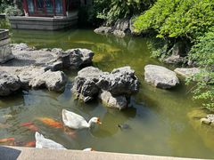 -祝家花園(伯渎港店)
