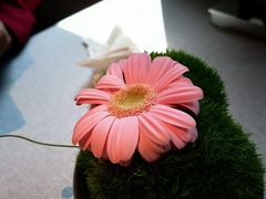 -逸道(益丰·外滩源店)