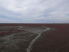 -红海滩国家风景廊道