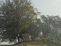 -盘龙城国家考古遗址公园