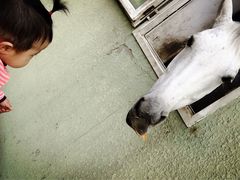 -北京长城阳光山谷马术俱乐部