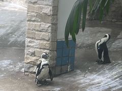 -成都动物园