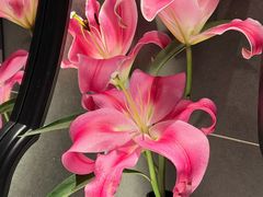 -侨美食家(体育西路店)