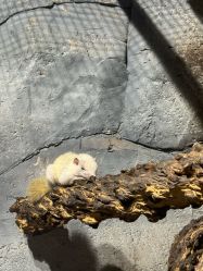 -Zoolung Zoolung动物主题公园(海信广场店)