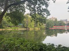 -荔湾湖公园