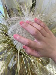 -MONICABOX美甲美睫