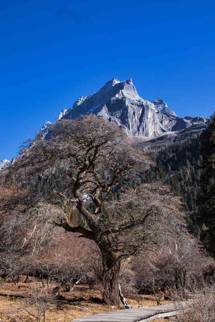 四姑娘山風景名勝區