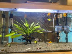 -奉天泥炉烤肉(七星店)