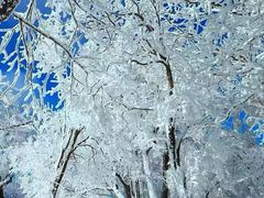 -中旅松花湖滑雪场