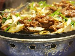 -喜悦烤鸭·新京菜(王府井店)