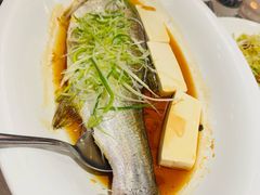 -正院大宅门烤鸭(首体店)