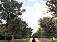 -盘龙城国家考古遗址公园