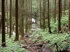 -上色见熊野座神社