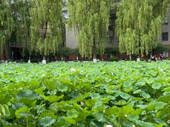 -四川大学(望江校区)