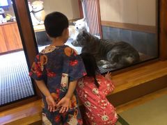 -大江户·温泉洗浴(浑南店)