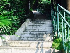 -中山公园(石岐街道)