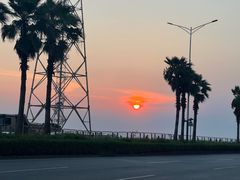 -宝安西湾红树林湿地公园