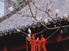 -长春观