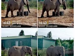 -鄂尔多斯野生动物园