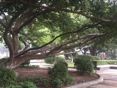 -广东财经大学(广州校区)