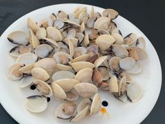 -狮伙海鲜捞(千灯湖店)