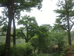 -午潮山国家森林公园