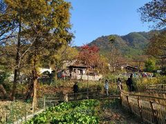 -塔川景区