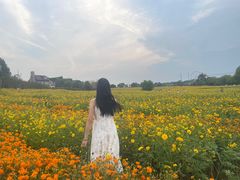-花博汇(知音花月夜)