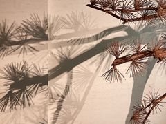 -春熙台韩国料理·章鱼肥牛(西丽店)