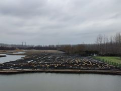 -溱湖国家湿地公园