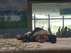 -西安秦岭野生动物园