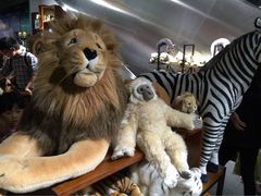 iphone_upload_pic-浙江省科技馆