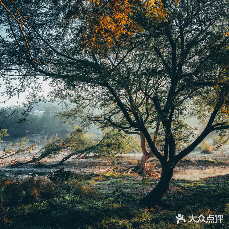 浙江仙都|如果你没来过,只能算是丽水的过客