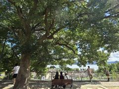 -东钱湖旅游度假区