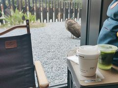 -J Create城市露营咖啡·简餐·宠物(上海动物园店)