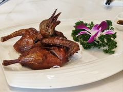 红烧乳鸽-四季海鲜酒楼·粤菜·早茶·宴会(南山中心区店)
