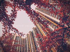 -苏州河梦清园环保主题公园