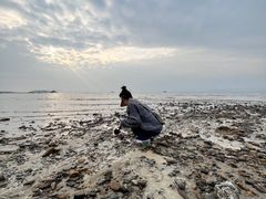 -惠州金海湾嘉华度假酒店