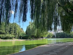 -团结湖公园