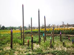 -镇北堡西部影城