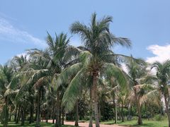 -白沙门生态公园