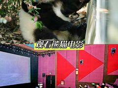 -成都大熊猫繁育研究基地