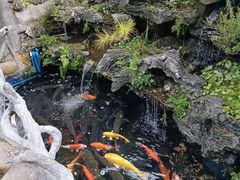 -华园农庄·特色炭烧鸡·北江河鲜