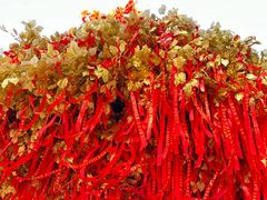 -狼山风景名胜区